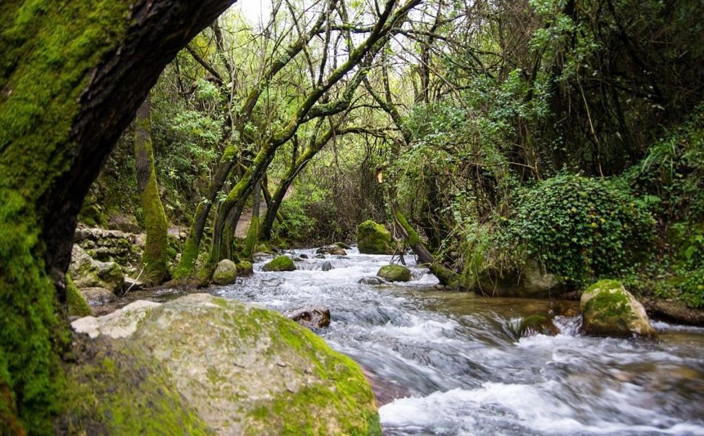 El Rincon De Las Higueras Эль-Боске Экстерьер фото